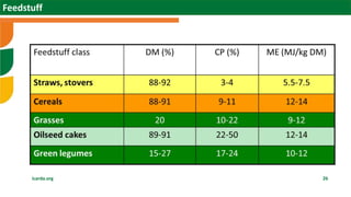 Scaling sheep in Ethiopia