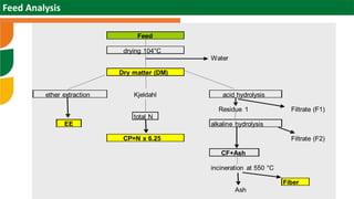 Scaling sheep in Ethiopia