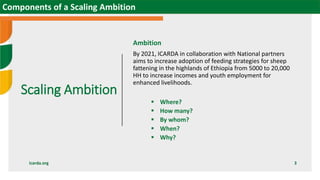 Scaling sheep in Ethiopia