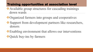 Modalities of cascading training in livestock technologies to farmers in Uganda 