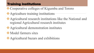 Modalities of cascading training in livestock technologies to farmers in Uganda 