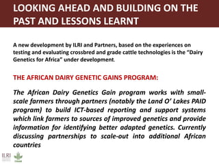LOOKING AHEAD AND BUILDING ON THE
PAST AND LESSONS LEARNT
A new development by ILRI and Partners, based on the experiences on
testing and evaluating crossbred and grade cattle technologies is the “Dairy
Genetics for Africa” under development.
THE AFRICAN DAIRY GENETIC GAINS PROGRAM:
The African Dairy Genetics Gain program works with small-
scale farmers through partners (notably the Land O’ Lakes PAID
program) to build ICT-based reporting and support systems
which link farmers to sources of improved genetics and provide
information for identifying better adapted genetics. Currently
discussing partnerships to scale-out into additional African
countries
 