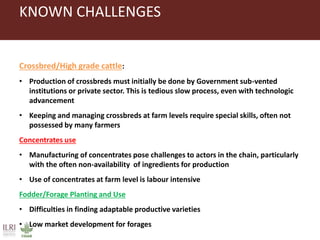 KNOWN CHALLENGES
Crossbred/High grade cattle:
• Production of crossbreds must initially be done by Government sub-vented
institutions or private sector. This is tedious slow process, even with technologic
advancement
• Keeping and managing crossbreds at farm levels require special skills, often not
possessed by many farmers
Concentrates use
• Manufacturing of concentrates pose challenges to actors in the chain, particularly
with the often non-availability of ingredients for production
• Use of concentrates at farm level is labour intensive
Fodder/Forage Planting and Use
• Difficulties in finding adaptable productive varieties
• Low market development for forages
 
