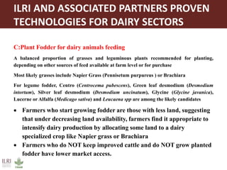 Proven dairy technologies for smallholder and medium scale market-oriented dairy systems