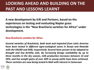 Proven dairy technologies for smallholder and medium scale market-oriented dairy systems