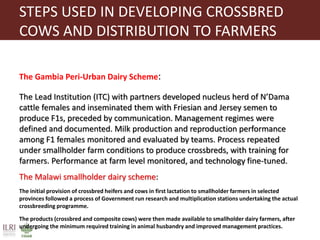 Proven dairy technologies for smallholder and medium scale market-oriented dairy systems