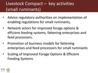 Introduction to Technology for African Agricultural Transformation (TAAT) and the livestock compact (Small ruminant)