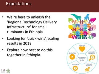 Introduction to Technology for African Agricultural Transformation (TAAT) and the livestock compact (Small ruminant)