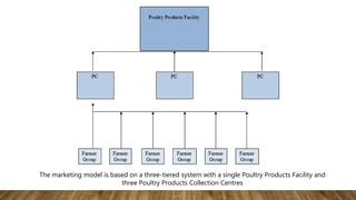 The marketing model is based on a three-tiered system with a single Poultry Products Facility and
three Poultry Products Collection Centres
 