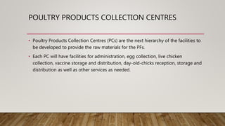 POULTRY PRODUCTS COLLECTION CENTRES
• Poultry Products Collection Centres (PCs) are the next hierarchy of the facilities to
be developed to provide the raw materials for the PFs.
• Each PC will have facilities for administration, egg collection, live chicken
collection, vaccine storage and distribution, day-old-chicks reception, storage and
distribution as well as other services as needed.
 