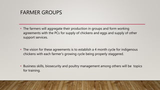 FARMER GROUPS
• The farmers will aggregate their production in groups and form working
agreements with the PCs for supply of chickens and eggs and supply of other
support services.
• The vision for these agreements is to establish a 4 month cycle for indigenous
chickens with each farmer’s growing cycle being properly staggered.
• Business skills, biosecurity and poultry management among others will be topics
for training.
 