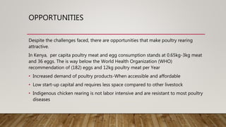 OPPORTUNITIES
Despite the challenges faced, there are opportunities that make poultry rearing
attractive.
In Kenya, per capita poultry meat and egg consumption stands at 0.65kg-3kg meat
and 36 eggs. The is way below the World Health Organization (WHO)
recommendation of (182) eggs and 12kg poultry meat per Year
• Increased demand of poultry products-When accessible and affordable
• Low start-up capital and requires less space compared to other livestock
• Indigenous chicken rearing is not labor intensive and are resistant to most poultry
diseases
 