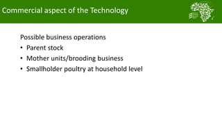  Testing and delivering tropically-adapted chickens for productivity growth in sub-Saharan Africa