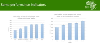  Testing and delivering tropically-adapted chickens for productivity growth in sub-Saharan Africa