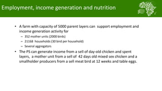  Testing and delivering tropically-adapted chickens for productivity growth in sub-Saharan Africa
