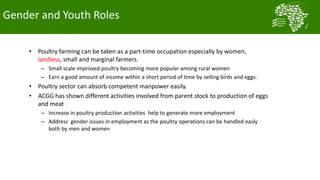  Testing and delivering tropically-adapted chickens for productivity growth in sub-Saharan Africa