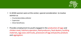  Testing and delivering tropically-adapted chickens for productivity growth in sub-Saharan Africa