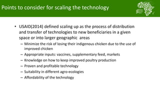  Testing and delivering tropically-adapted chickens for productivity growth in sub-Saharan Africa