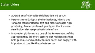  Testing and delivering tropically-adapted chickens for productivity growth in sub-Saharan Africa