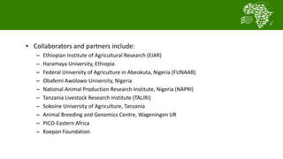  Testing and delivering tropically-adapted chickens for productivity growth in sub-Saharan Africa