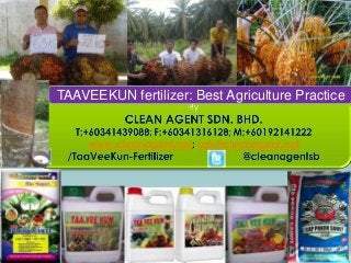 TAAVEEKUN fertilizer: Best Agriculture Practice
 