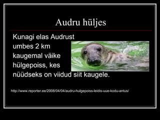 Audru vald | PPT