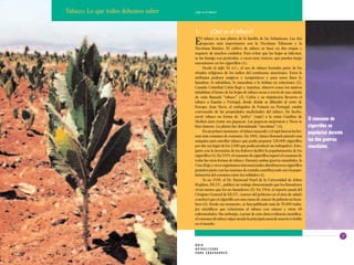 Tabaco: Lo que todos debemos saber   ¿Qué es el tabaco?




                                     1.          ¿Qué es el tabaco?
                                          l tabaco es una planta de la familia de las Solanáceas. Las dos
                                     E    especies más importantes son la Nicotiana Tabacum y la
                                     Nicotiana Rústica. El cultivo de tabaco se hace en dos etapas y
                                     requiere de muchos cuidados. Para evitar que las hojas se infecten,
                                     se las fumiga con pesticidas, a veces muy tóxicos, que pueden luego
                                     encontrarse en los cigarrillos (1).
                                           Desde el siglo XI A.C., el uso de tabaco formaba parte de los
                                     rituales religiosos de los indios del continente americano. Estos le
                                     atribuían poderes mágicos y terapéuticos y para estos fines lo
                                     fumaban, lo inhalaban, lo mascaban o lo bebían en soluciones (2).
                                     Cuando Cristóbal Colón llegó a América, observó como los nativos
                                     inhalaban el humo de las hojas de tabaco secas a través de una cánula
                                     de caña llamada “tabaco” (3). Colón y su tripulación llevaron el
                                     tabaco a España y Portugal, desde dónde se difundió al resto de
                                     Europa. Jean Nicot, el embajador de Francia en Portugal, estaba
                                     convencido de las propiedades medicinales del tabaco. De hecho,
                                     envió tabaco en forma de “polvo” (rapé) a la reina Catalina de
                                     Medicis para tratar sus jaquecas. Las jaquecas mejoraron y Nicot se
                                                                                                                El consumo de
                                     hizo famoso. La planta fue denominada “nicotiana” (4).                     cigarrillos se
                                           En un primer momento, el tabaco mascado y el rapé fueron las for-    popularizó durante
                                     mas más comunes de consumo. En 1881, James Bonsack patentó una
                                     máquina para enrollar tabaco que podía preparar 120.000 cigarrillos        las dos guerras
                                     por día (en lugar de los 2.000 que podía producir un trabajador). Esto,    mundiales.
                                     junto con la invención de los fósforos facilitó la popularización de los
                                     cigarrillos (4). En 1919, el consumo de cigarrillos superó el consumo de
                                     todas las otras formas de tabaco. Durante ambas guerras mundiales, la
                                     Cruz Roja y otros organismos internacionales distribuyeron cigarrillos
                                     gratuitos junto con las raciones de comida contribuyendo así a la popu-
                                     larización del consumo entre los soldados (4).
                                           Ya en 1938, el Dr. Raymond Pearl de la Universidad de Johns
                                     Hopkins, EE.UU., publicó un trabajo demostrando que los fumadores
                                     viven menos que los no fumadores (5). En 1964, el reporte anual del
                                     Cirujano General de EE.UU. (asesor del gobierno en el área de salud)
                                     concluyó que el cigarrillo era una causa de cáncer de pulmón en hom-
                                     bres (6). Desde ese momento, se han publicado más de 70.000 traba-
                                     jos científicos que relacionan al tabaco con cáncer y otras 40
                                     enfermedades. Sin embargo, a pesar de esta clara evidencia científica,
                                     el consumo de tabaco sigue siendo la principal causa de muerte evitable
                                     en el mundo.

                                                                                                                                 7

                                     GUÍA
                                     ACTUALIZADA
                                     PARA EDUCADORES
 