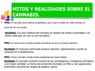 MITOS Y REALIDADES SOBRE EL CANNABIS. Mito:   El cannabis tiene efectos terapéuticos, por lo que no debe ser malo fumarse un porro de vez en cuando .   Realidad:  Los usos médicos del cannabis se realizan de manera controlada y no tienen nada que ver con su uso recreativo.  Mito:   El consumo de cannabis puede controlarse ya que no produce adicción .  Realidad:  El consumo continuado produce adicción, especialmente cuando se consume en la adolescencia  Mito:   Fumar cannabis resulta menos perjudicial que fumar tabaco   Realidad:  El cannabis contiene muchos de los carcinógenos y mutágenos del tabaco y en mayor cantidad. La forma de consumirlo (fumada, sin filtro y con aspiraciones profundas) aumenta los riesgos de padecer cáncer.  