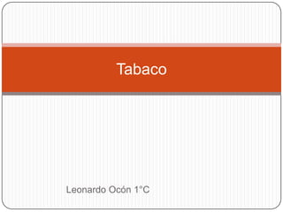 Leonardo Ocón 1°C Tabaco 