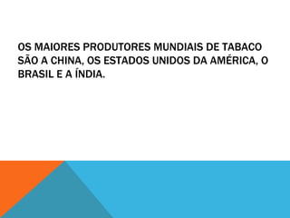 OS MAIORES PRODUTORES MUNDIAIS DE TABACO
SÃO A CHINA, OS ESTADOS UNIDOS DA AMÉRICA, O
BRASIL E A ÍNDIA.
 