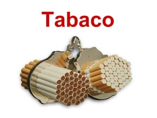 Tabaco 