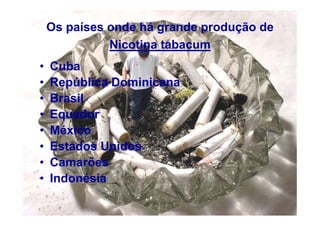 Tabaco