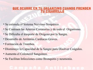 QUE OCURRE EN TU ORGANISMO CUANDO PRENDEN
TU CIGARRILLO

• Se estimula el Sistema Nervioso Simpático.
• Se Contraen las Arterias Coronarias y de todo el Organismo.
• Se Dificulta el trasporte de Oxigeno por la Sangre.
• Desarrollo de Arritmias Cardiacas Graves.
• Formación de Trombos.
• Disminuye la Capacidad de la Sangre para Disolver Coágulos.
• Aumenta el Colesterol Sanguíneo.
• Se Facilitan Infecciones como Bronquitis y neumonía.

 