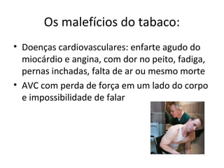Os malefícios do tabaco:
• Doenças cardiovasculares: enfarte agudo do
miocárdio e angina, com dor no peito, fadiga,
pernas inchadas, falta de ar ou mesmo morte
• AVC com perda de força em um lado do corpo
e impossibilidade de falar
 