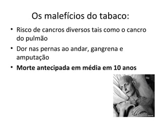 Os malefícios do tabaco:
• Risco de cancros diversos tais como o cancro
do pulmão
• Dor nas pernas ao andar, gangrena e
amputação
• Morte antecipada em média em 10 anos
 