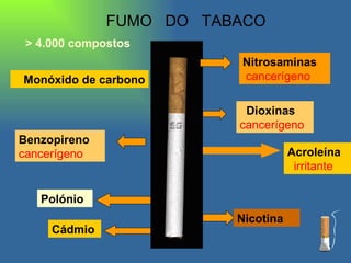 Nitrosaminas cancerígeno Dioxinas cancerígeno Acroleína irritante Nicotina > 4.000 compostos Monóxido de carbono Benzopireno cancerígeno Polónio Cádmio FUMO  DO  TABACO 