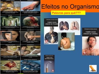 Efeitos no Organismo Cérebro: Palavras para quê??? 