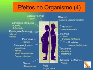 Cardíacas - doença coronária Urinárias - cancro bexiga e rim Esofago e Estomago Cancro Úlcera Pancreas - Cancro Pulmão Cancro Bronquite /Enfisema Cérebro - Acidente vascular cerebral Laringe e Traqueia Cancro Inflamação Arteriais periféricas - Arterite Boca e Faringe - Cancro Testículos Infertilidade Impotência Ginecológicas Infertilidade Aborto  Menopausa precoce Cancro colo útero   Ossos - Osteoporose Pele - rugas, seca Efeitos no Organismo (4) 