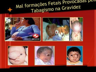 Tabaco a escolha é sua (1)