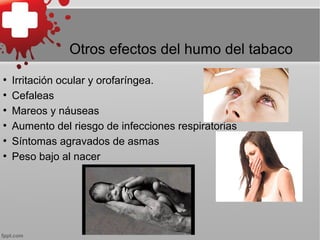 Otros efectos del humo del tabaco
●
Irritación ocular y orofaríngea.
●
Cefaleas
●
Mareos y náuseas
●
Aumento del riesgo de infecciones respiratorias
●
Síntomas agravados de asmas
●
Peso bajo al nacer
 
