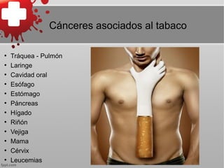 Cánceres asociados al tabaco
●
Tráquea - Pulmón
●
Laringe
●
Cavidad oral
●
Esófago
●
Estómago
●
Páncreas
●
Hígado
●
Riñón
●
Vejiga
●
Mama
●
Cérvix
●
Leucemias
 