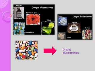 Drogas
alucinogénias
 