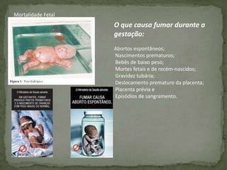 Nicotiana TabacumÍndios usando o RapéViciado em cigarro que insiste em fumar mesmo após muitos problemas