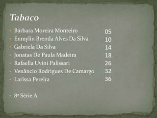 Bárbara Moreira Monteiro