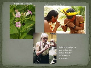 Enmylin Brenda Alves Da Silva