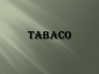 Tabaco 