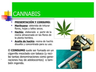 CANNABIS PRESENTACIÓN Y CONSUMO: Marihuana : obtenida de triturar  flores, hojas y tallos secos.  Hachís:   elaborado  a  partir de la resina almacenada en las flores de  la planta hembra. Aceite de hachís : resina de hachís disuelta y concentrada para su uso.  El  CONSUMO  suele ser fumado en un cigarrillo mezclado con tabaco (y reci-be tantas denominaciones como gene-raciones hay de adolescentes)  o tam- bién ingerido.   