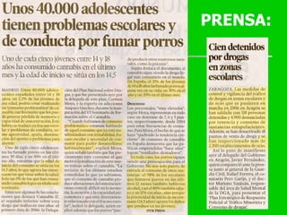                                                                        PRENSA: 