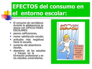 EFECTOS del consumo en el  entorno escolar: El consumo de cannábicos durante la adolescencia se asocia con DIFICULTADES ESCOLARES:  peores calificaciones,  menor satisfacción escolar,  actitudes  más  negativas hacia la escuela,  aumento del absentismo escolar,  abandono  de  los  estudios  y  fracaso  en  la  formación profesional y en los estudios universitarios. 
