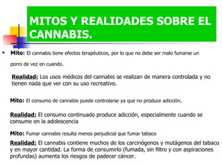 MITOS Y REALIDADES SOBRE EL CANNABIS. Mito:   El cannabis tiene efectos terapéuticos, por lo que no debe ser malo fumarse un porro de vez en cuando .   Realidad:  Los usos médicos del cannabis se realizan de manera controlada y no tienen nada que ver con su uso recreativo.  Mito:   El consumo de cannabis puede controlarse ya que no produce adicción .  Realidad:  El consumo continuado produce adicción, especialmente cuando se consume en la adolescencia  Mito:   Fumar cannabis resulta menos perjudicial que fumar tabaco   Realidad:  El cannabis contiene muchos de los carcinógenos y mutágenos del tabaco y en mayor cantidad. La forma de consumirlo (fumada, sin filtro y con aspiraciones profundas) aumenta los riesgos de padecer cáncer.  